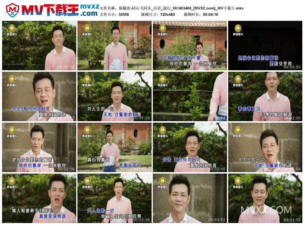 陈随意-同心飞同齐_台语_流行_MC403465